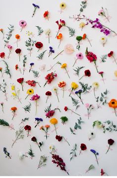 an arrangement of flowers arranged on a white surface