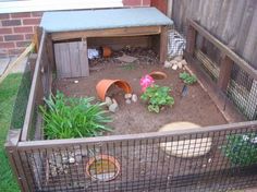 an outdoor garden with plants and dirt in it