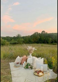 a table with food on it in the middle of a field