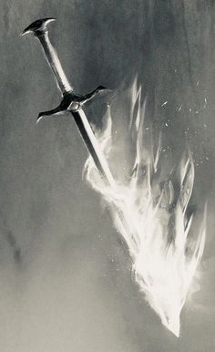 a black and white photo of a bird flying in the sky