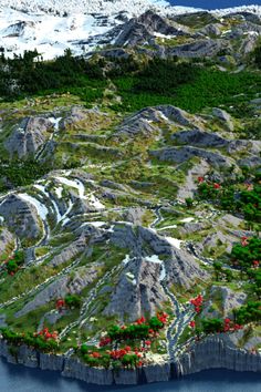 an aerial view of a mountain range with flowers growing on it