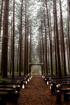 an outdoor ceremony setup in the woods with candles lit up on benches and trees lining the aisle