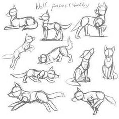 some drawings of dogs that are in different poses