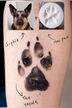 a dog's paw is shown with pictures of it