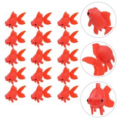 red plastic fish with different shapes and sizes