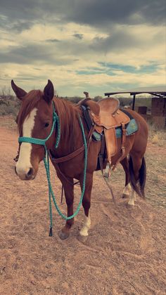 a brown horse standing on top of a dirt field