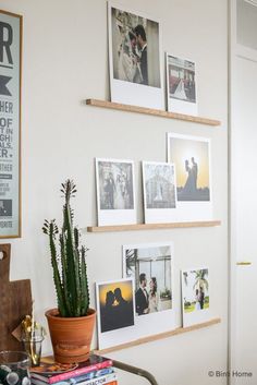 some pictures are hanging on the wall above a potted plant and bookshelf