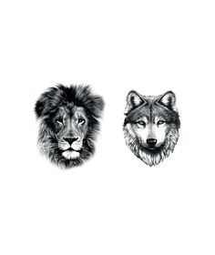 two different types of wolfs with their faces drawn in pencil and ink on paper