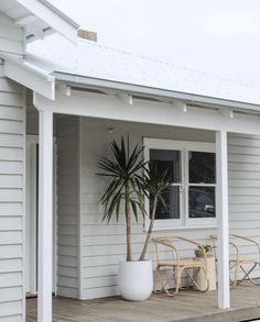 there is a potted plant on the porch