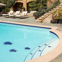 a swimming pool with lounge chairs and umbrellas next to the steps leading up to it