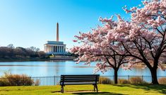 Embark on a solo trip to Washington DC with this essential guide, uncovering tips, must-see sights, and solo-friendly spots in the capital.
The post Discover Washington DC on Your Own: A Solo Traveler’s Guide for a Solo Trip to Washington DC appeared first on Only By Land.