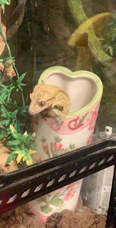 an animal in a flower pot with its mouth open and head inside the planter