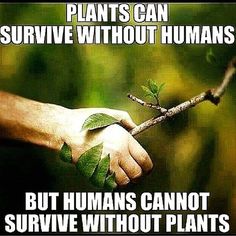 two hands holding a branch with leaves on it and the caption says, plants can survive without humans but humans cannot survive without plants