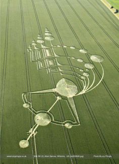 an aerial view of a field with lines drawn on it