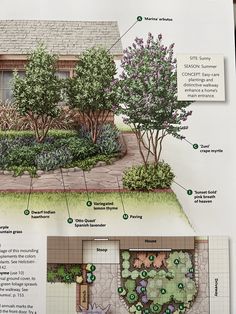 a garden design with instructions on how to plan it