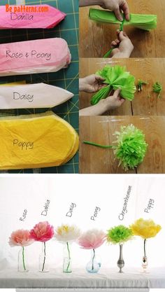 how to make tissue paper flowers with the instructions for making them look like they are in different colors