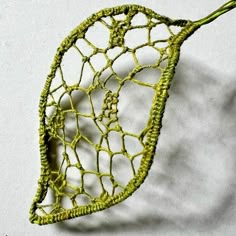 a green netted leaf on a white surface