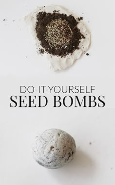 This easy tutorial for making seed bombs is sure to brighten up your backyard in no time! || hostess gift || housewarming present || handmade holiday Seed Balls, Summer Diy Projects, Bombe Recipe, Backyard Plants, Urban Farm, Seed Paper, Easy Garden, Seed Pods, Save The Bees