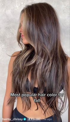 Dark Brown Hair Fall Highlights, Brownie Batter Hair Color Dark, Balayage Brownie Batter, Brownie Batter Hair, Brownie Batter Hair Color, Black And Brown Hair, Darker Blonde, Toner For Blonde Hair, Hair Color Pictures