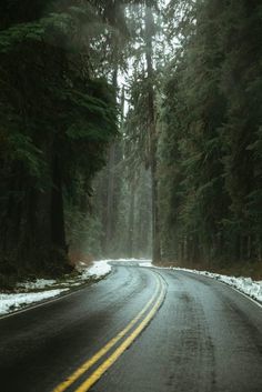 an empty road in the middle of a forest with snow on the ground and trees lining both sides