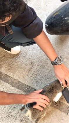 a person is petting a small animal on the ground with their hands and feet