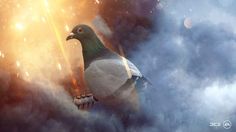 a pigeon sitting on top of a cloud filled sky