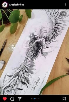 a drawing of a bird with feathers on it