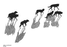 the silhouettes of three dogs are shown in black and white, as if they were running