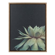 an image of a white flower in a brown frame on a black background with space for text