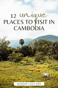 a field with trees and mountains in the background text reads, 12 unique places to visit in cambodia