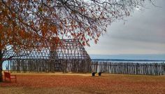 a large metal structure sitting next to a tree on top of a grass covered field