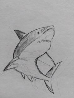 a drawing of a shark with its mouth open