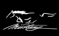 a black and white photo of a horse with the word mustang on it's side