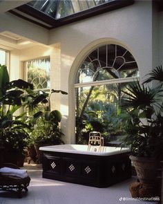 a bath tub sitting in the middle of a room with lots of plants around it