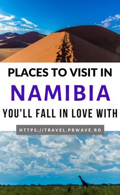 a giraffe in the distance with text overlay that reads places to visit in namibia you'll fall in love with