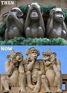 three monkeys sitting next to each other on top of a stone structure with the caption,