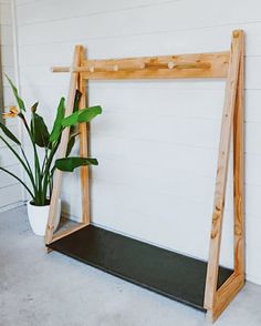 a potted plant sitting on top of a shelf next to a white wall with a wooden frame