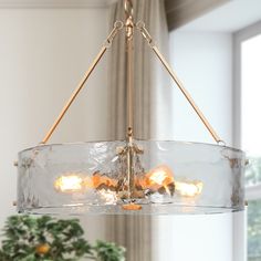 a chandelier hanging from a ceiling in a room with a potted plant