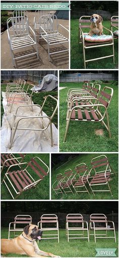 there are pictures of different types of lawn chairs in the same photo, one has a dog laying on it