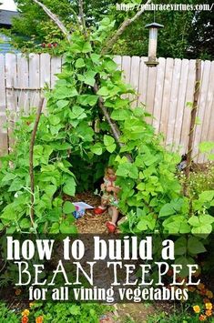 a garden with plants growing in it and the words how to build a bean tree for all living vegetables