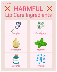 Harmful Lip Care Ingredients Lip Scrub