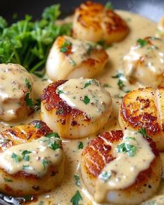 scallops covered in sauce and garnished with parsley