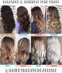 Hair Color Tone Chart Balayage & Color Specialist (@hairbymadisoncarlisle) • Instagram photos and videos Snowed In, Balayage Hair Dark, Balayage Color, Balayage Hair Blonde, Short Hair Balayage, Ash Blonde