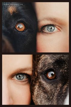 two different pictures of the same person's face and dog's eyes, one is brown