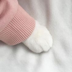 a white cat's paw sticking out of a pink sweater on top of a bed