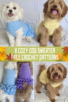 four different pictures of dogs wearing sweaters with text that reads, a cozy dog sweater free crochet patterns