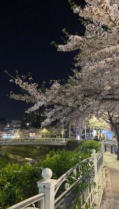 the trees are blooming in the city park at night with lights shining on them