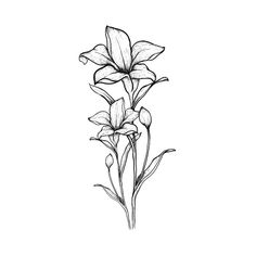 a black and white drawing of three flowers