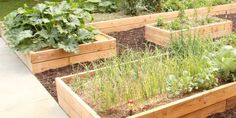 several wooden raised garden beds filled with vegetables