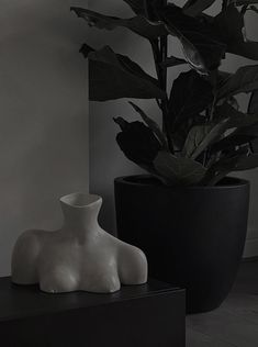 a black and white photo of two vases with plants in the corner behind them